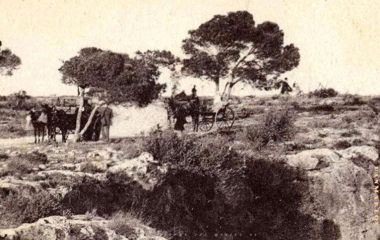 E 15- Marabout .jpg